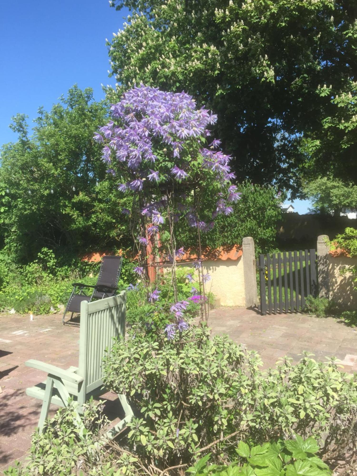 Vellinge Koepmansgarden Bed & Breakfast الغرفة الصورة