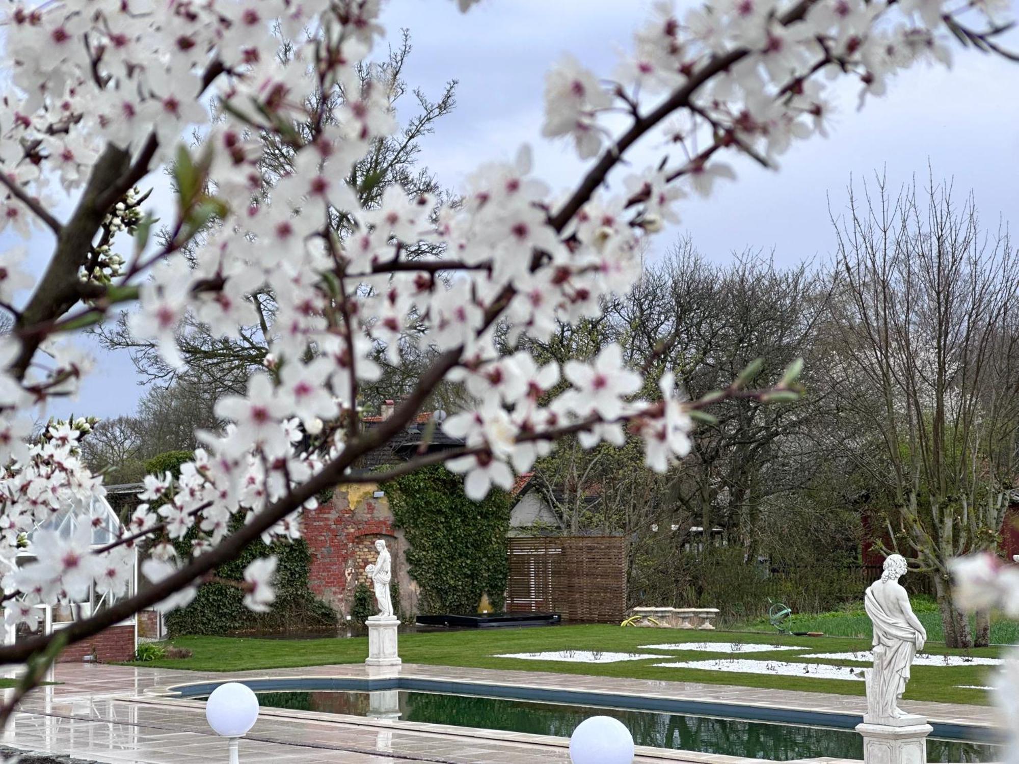 Vellinge Koepmansgarden Bed & Breakfast الغرفة الصورة